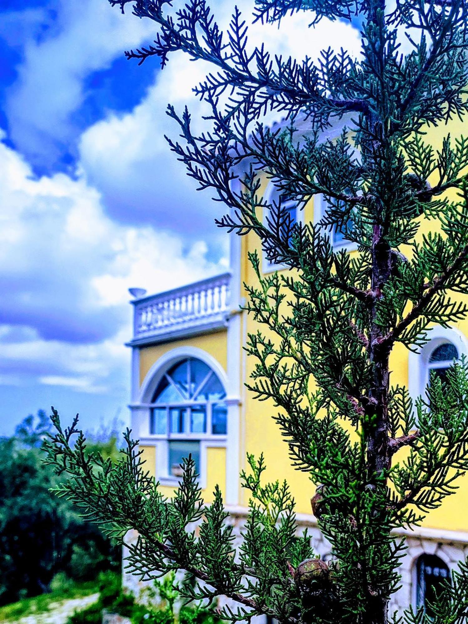 Vila Kalielaia Mouzakion  Ngoại thất bức ảnh